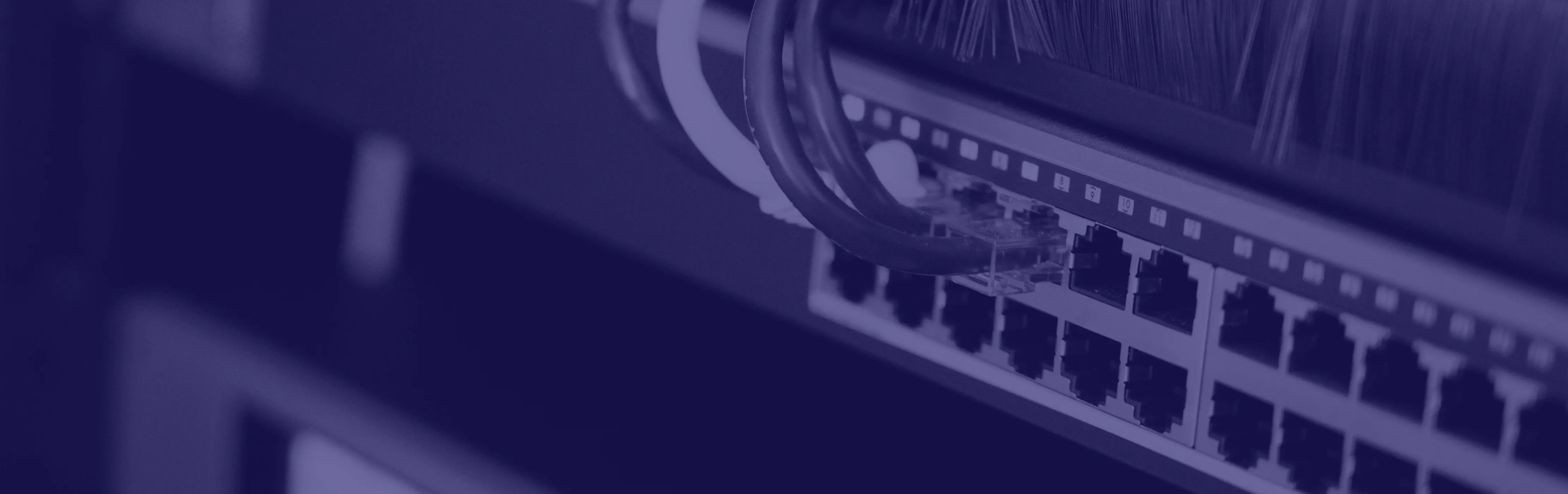 Ethernet cables connected to switch