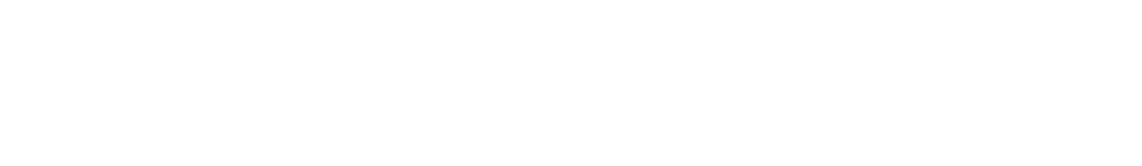 SV Robot Solutions logo